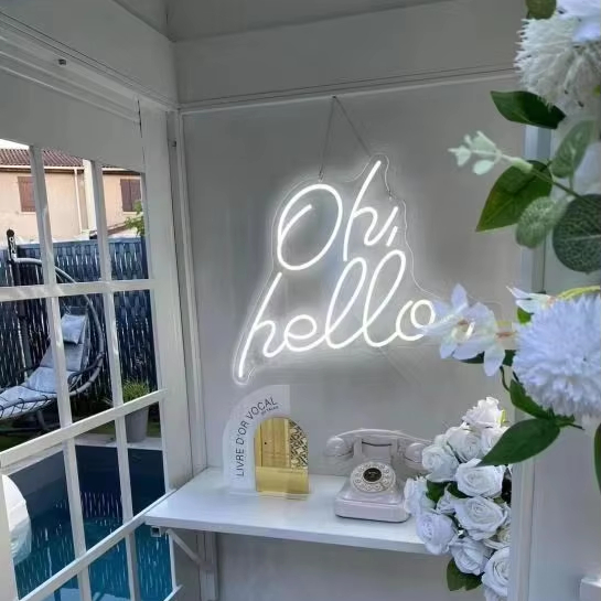 Неоновая вывеска FY Custom LED – обзор и цена Neon Sign Led Custom